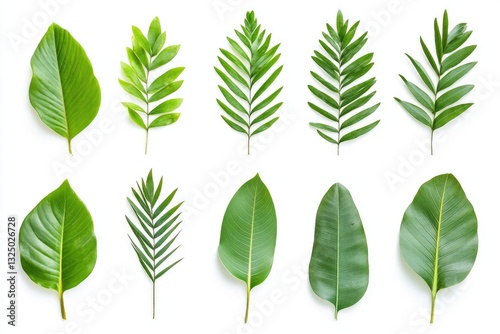 Collection of vibrant green leaves