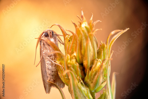 Quietly perched waiting for the night