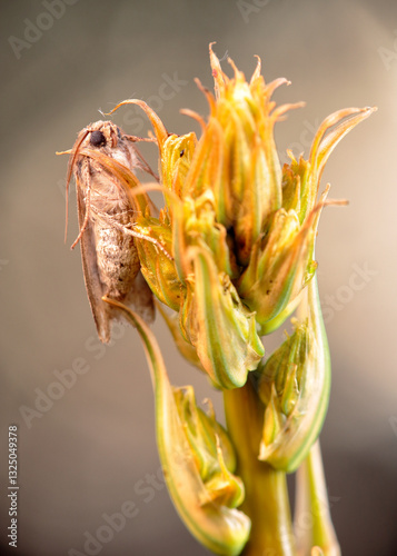 Quietly perched waiting for the night