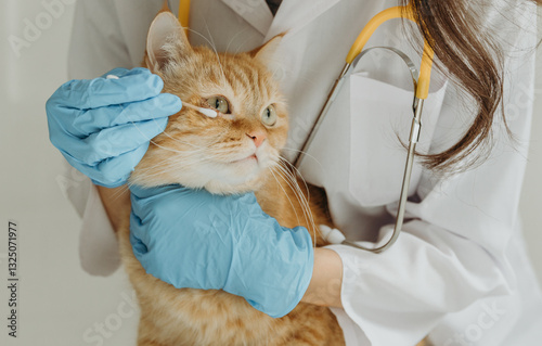 A young girl veterinarian cleans a cat's eye.