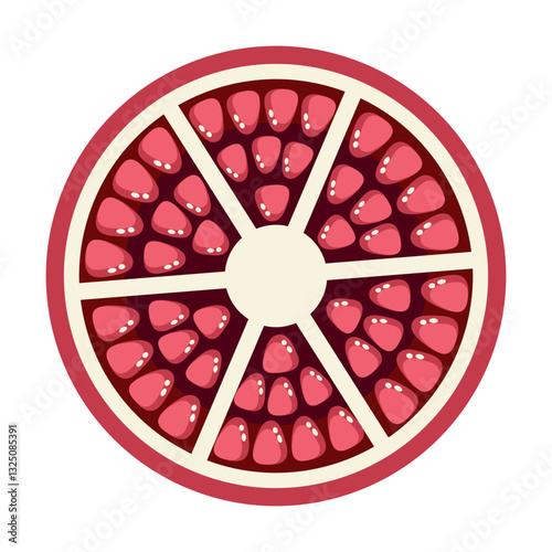 Pomegranate slice in flat technique vector illustration 