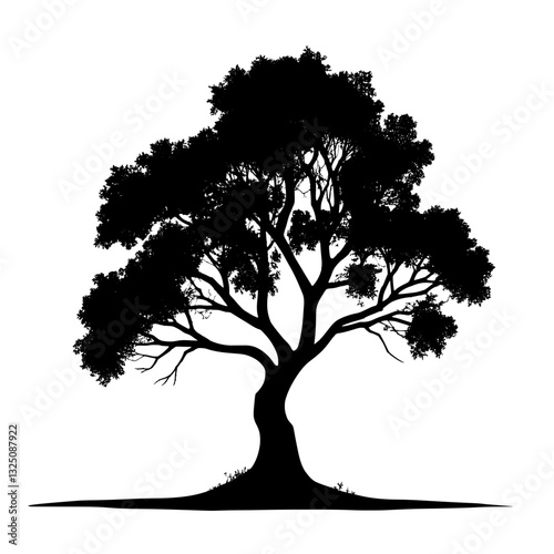 An illustration featuring a black tree silhouette set against a clean white background showing a tree with spreading branches and detailed leaf patterns.