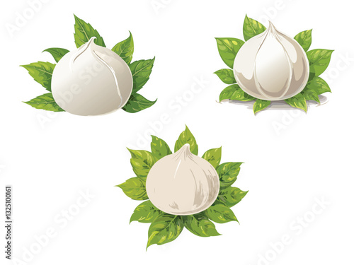 vector illustration of an Italian Mozzarella di Bufala