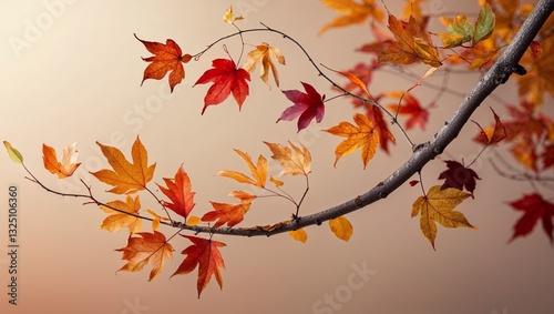 Autumn Branch Close-Up - Seasonal Nature Photography with Fall Vibes