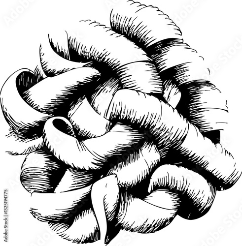 Illustration von frischer Pasta in einer kunstvollen Anordnung, schwarz-weiß Zeichnung