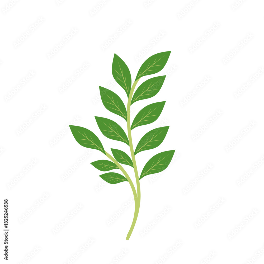 Obraz premium Illustration of a branching green leaf 