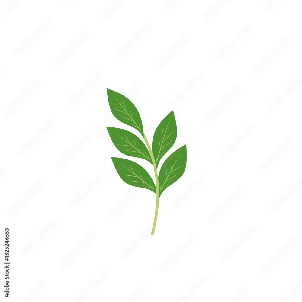 Fototapeta premium Illustration of a branching green leaf 