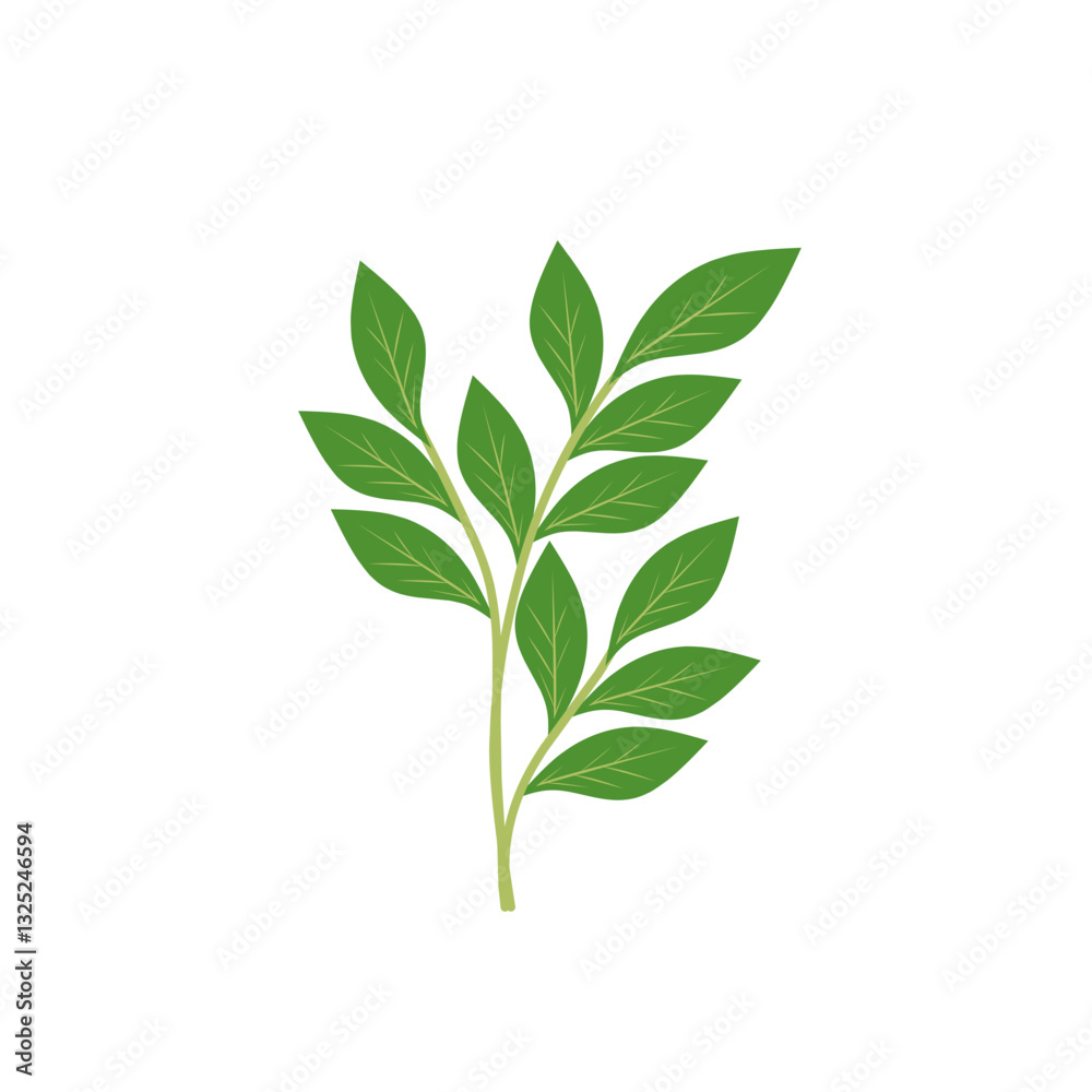 Fototapeta premium Illustration of a branching green leaf 