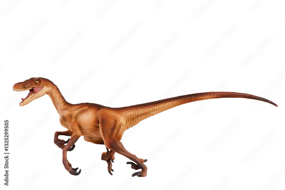 realistic velociraptor dinosaur model isolated on a white background. Perfect for educational content, paleontology studies, museum exhibitions, and prehistoric-themed advertising or designs.