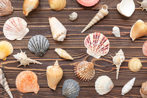 Many different sea shells on wooden background photo