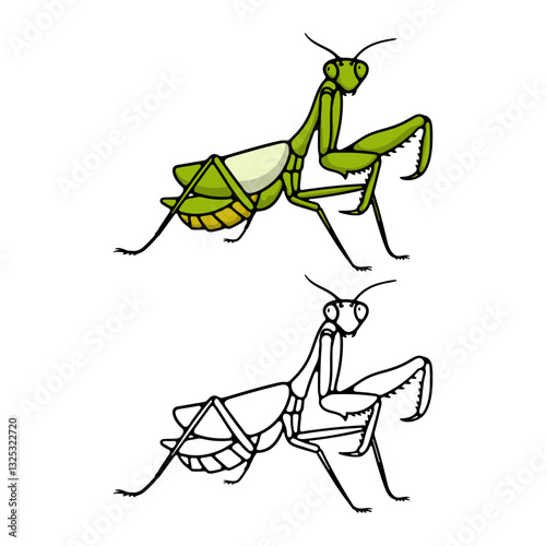 illustration cartoon mantis on white background