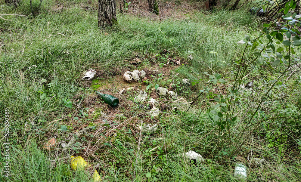 Lamb carcasses together with rubbish in the wild Lamb carcasses together with rubbish in the wild