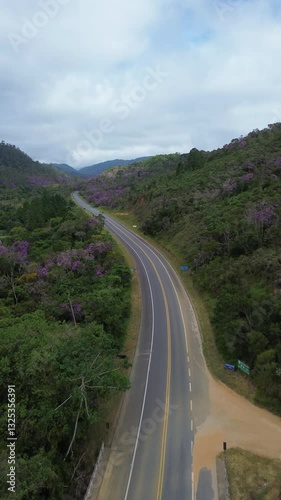 Aerial view of a road full of trees and vegetation around. The lush nature gives a feeling of relaxation and inspiration. The pink trees are known as Brazilian Ipês.