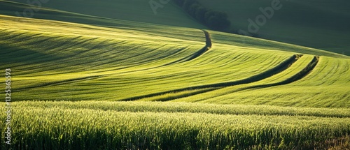 Professional aerial view of agricultural fields preparation and cultivation