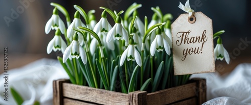 Freshly collected spring snowdrops arranged in a wooden crate, highlighted by a rustic tag, expressing a message of gratitude and the arrival of spring.