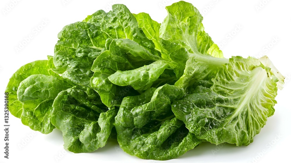 Romain Lettuce isolated on a white background Romain Lettuce isolated on a white background
