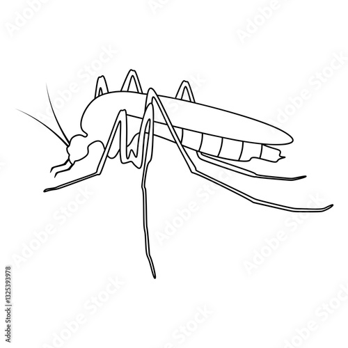 mosquito