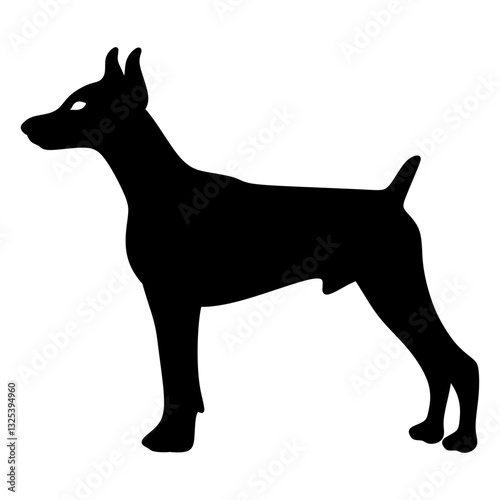 Doberman pinscher