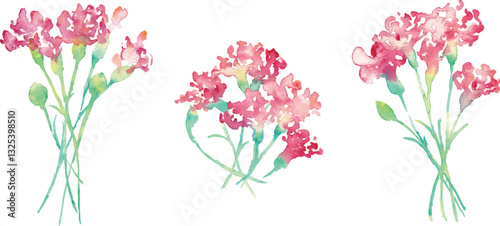 水彩画。水彩タッチの母の日カーネーションイラスト。母の日のカーネーション背景ベクターイラスト。Watercolor painting. Mother's Day carnation illustration with watercolor touch. Mother's day carnation background vector illustration.