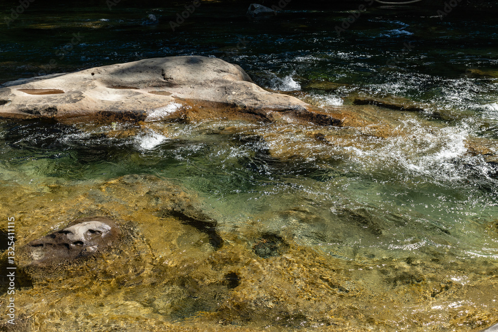 Fototapeta premium Oyster River Hiking area beautiful water nature Vancouver island British Columbia Canada