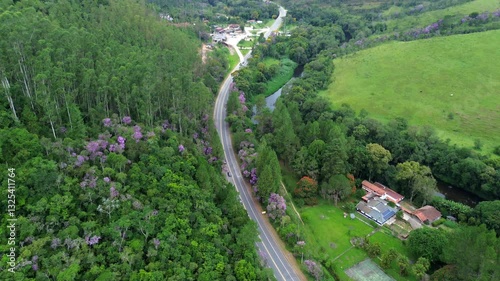 Aerial view of a road full of trees and vegetation around. The lush nature gives a feeling of relaxation and inspiration. The pink trees are known as Brazilian Ipês.
