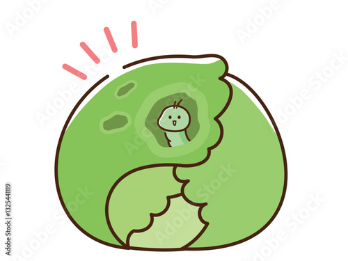 虫食いキャベツ