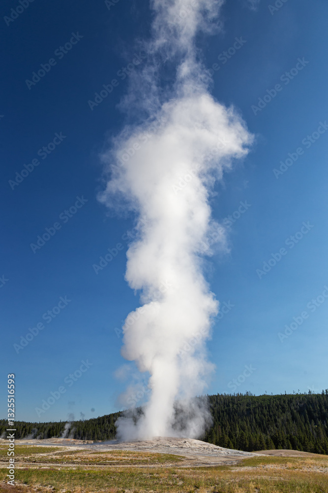 Fototapeta premium Old Faithful Geyser, Yellowstone National Park