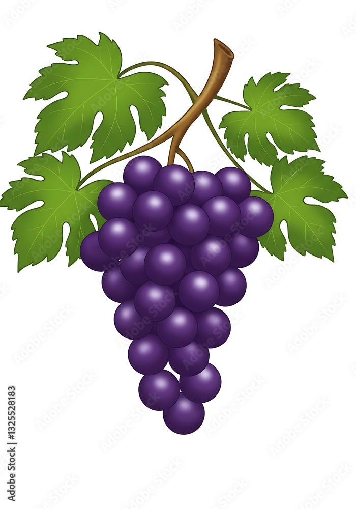 Obraz premium Illustration of Ripe Purple Grapes with Green Leaves on White Background