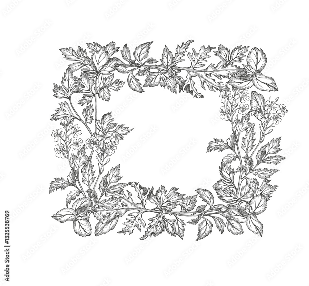 Vector frame with greens, herbs. Basil leaves, parsley, cilantro, coriander, mustard, arugula and rosemary leaf vegetables. Graphic illustration. For packaging Healthy greens, botanical posters, logo Vector frame with greens, herbs. Basil leaves, parsley, cilantro, coriander, mustard, arugula and rosemary leaf vegetables. Graphic illustration. For packaging Healthy greens, botanical posters, logo