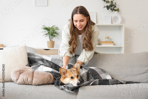 Young woman covering Corgi ...