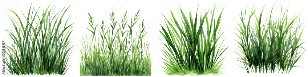 Fototapeta premium Lush green grass blades in full frame closeup view against bright natural background Detailed texture and pattern of fresh vibrant foliage in summer or spring season