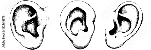 Understanding the Art of Ear Silhouette Design: A Creative Guide