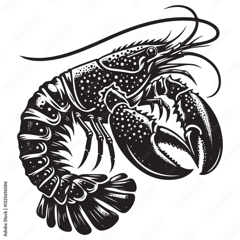 Seafood lobster vector illustration Seafood lobster vector illustration