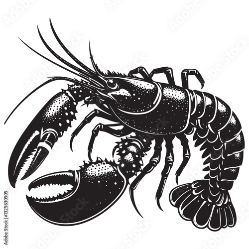 Seafood lobster vector illustration