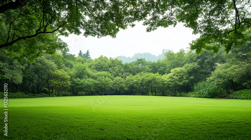 Emerald Green Lawn: A panor...