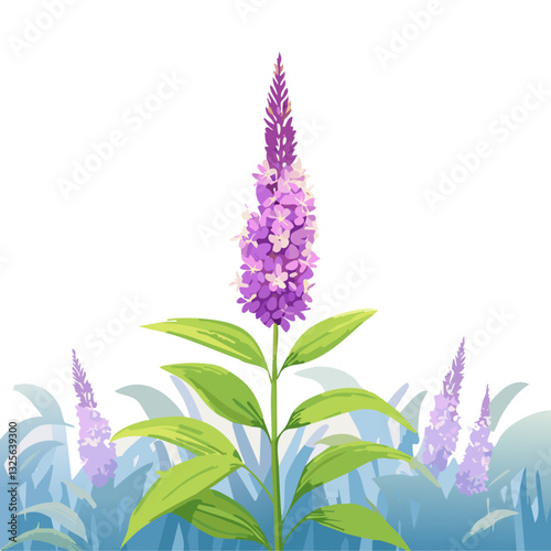 lavender flowers with leaves