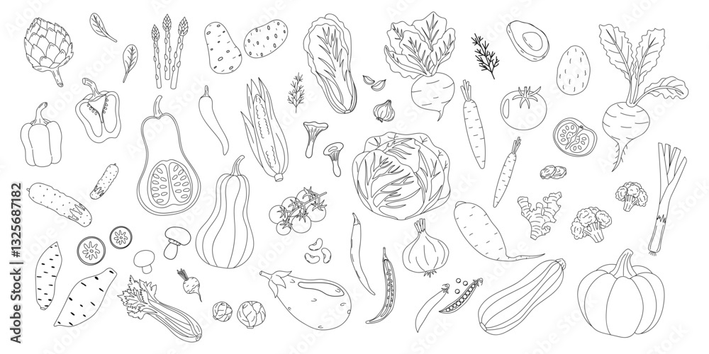 Collection of hand-drawn vegetables and herbs arranged on a white background showcasing diversity in plant-based food Collection of hand-drawn vegetables and herbs arranged on a white background showcasing diversity in plant-based food