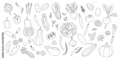 Collection of hand-drawn vegetables and herbs arranged on a white background showcasing diversity in plant-based food