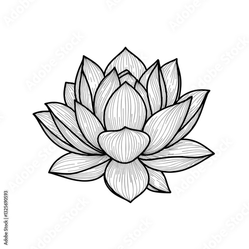 Lotus Flower Illustration: A detailed illustration of a pristine lotus flower, showcasing its delicate petals and intricate lines, embodying purity and serenity.