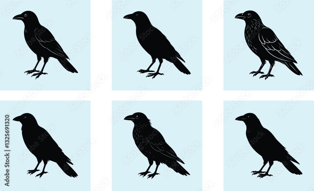 Fototapeta premium Crow Silhouette vector