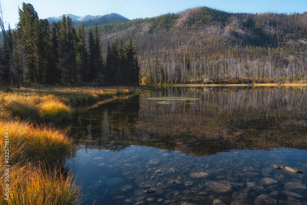 Obraz premium Beautiful landscape with mountain lake Arashan, where the peak is reflected in transparent water in Kazakhstan. Mountain Altai in Katon-Karagay Park.