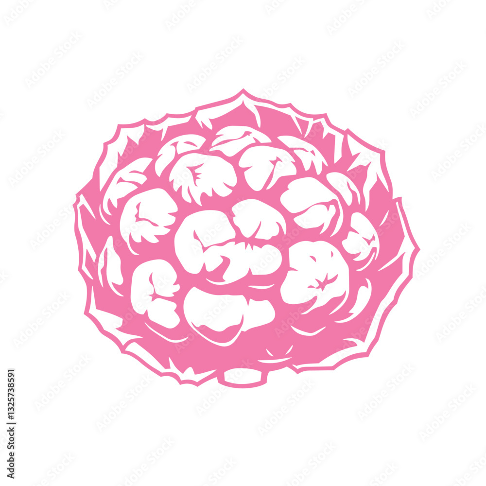 Cauliflower vegetable food isolated simple illustration in flat style logo vector.