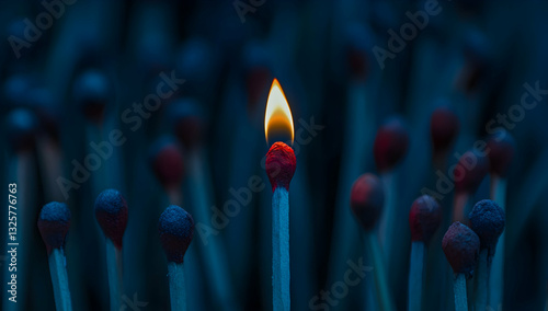 A single lit match standing out from the rest of unlit matches.