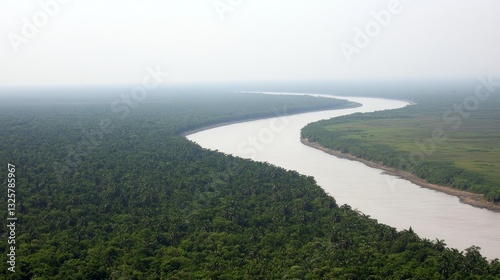Wallpaper Mural River flowing through lush green forest with clear sky on horizon Torontodigital.ca