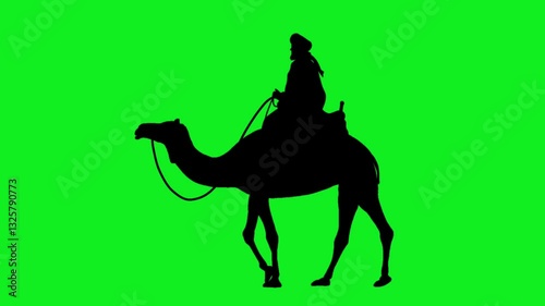 Animated silhouette of a man riding a camel on green screen.  Concept of animal, uae, ramadan, and islamic celebration.	