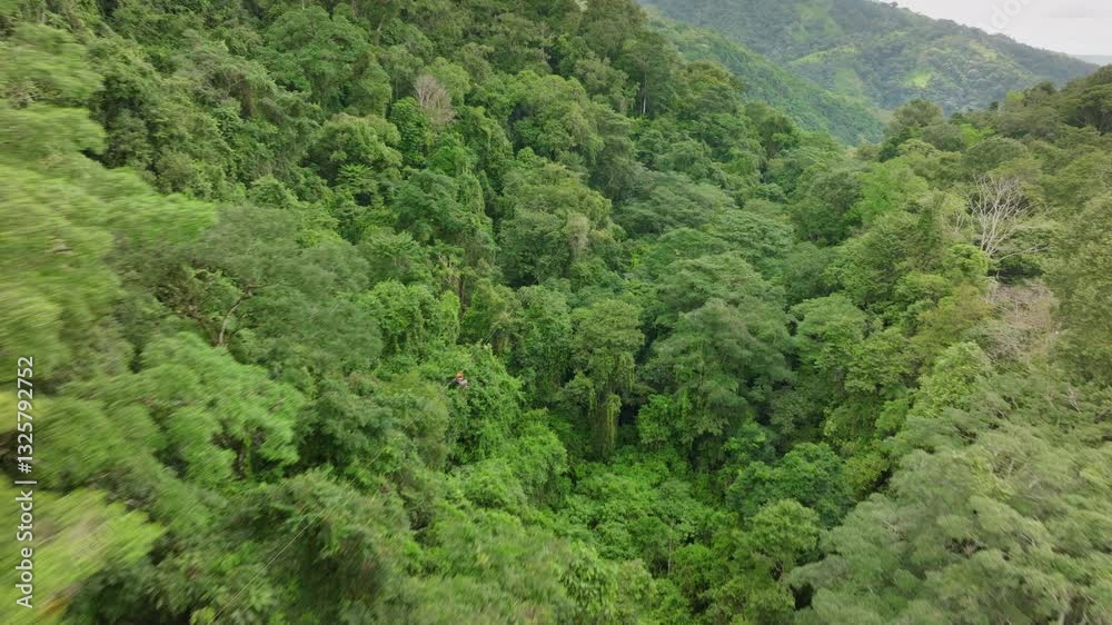 An aerial perspective of the vibrant and lush green landscape in Costa Rica, showcasing the dense and thriving forest along with an exhilarating zipline experience, all surrounded by nature An aerial perspective of the vibrant and lush green landscape in Costa Rica, showcasing the dense and thriving forest along with an exhilarating zipline experience, all surrounded by nature