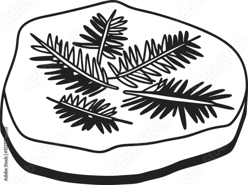 Fossilized fern leaf imprints in detailed black and white illustration, ancient botanical science