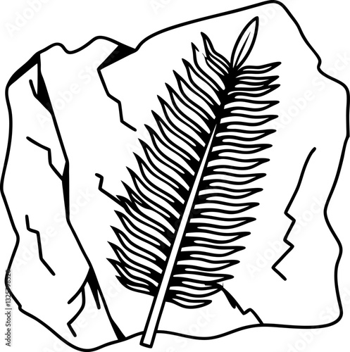 Fossilized fern leaf on stone prehistoric plant imprint in rock, nature's ancient history