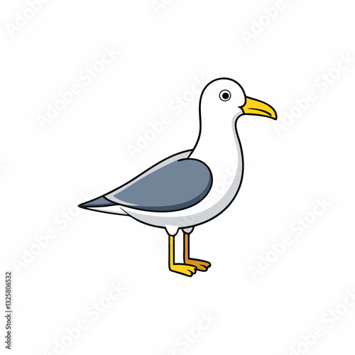 gull isolated on white