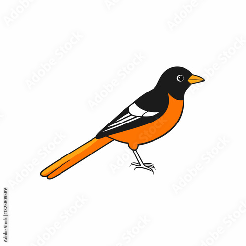 oriole bird on a white background
